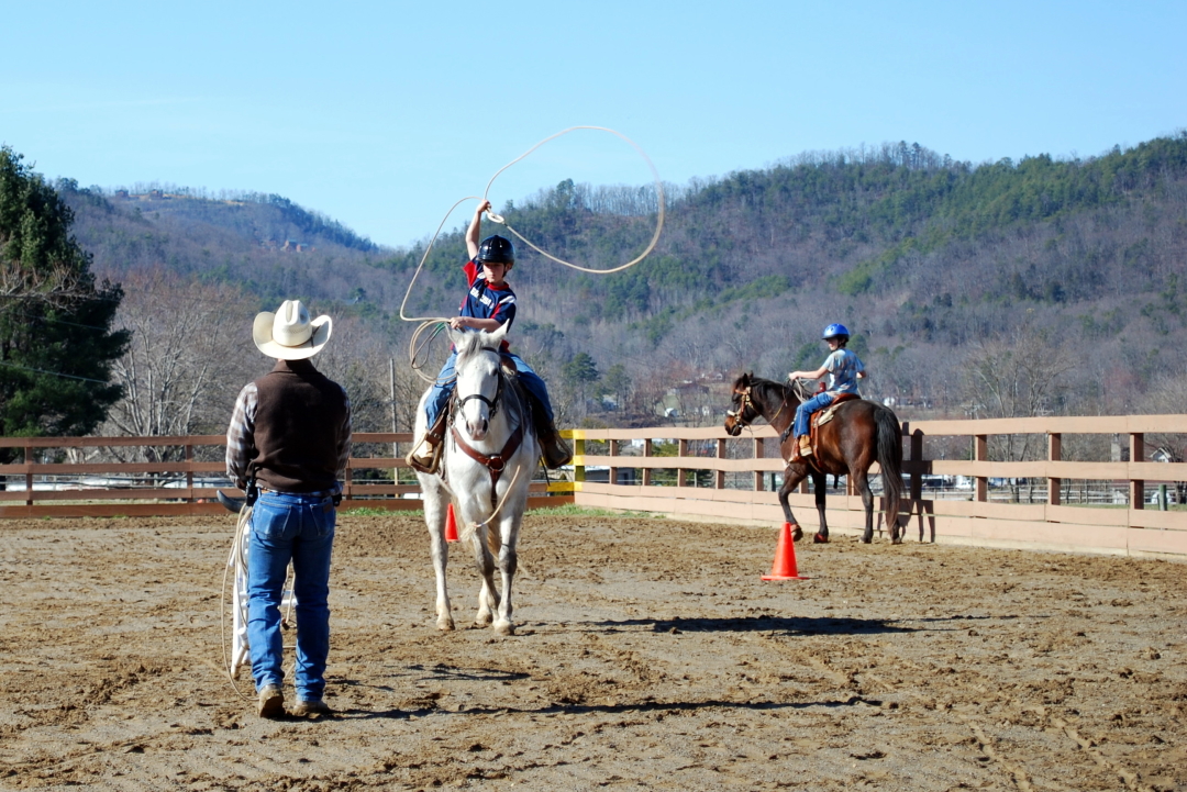 Equestrian training